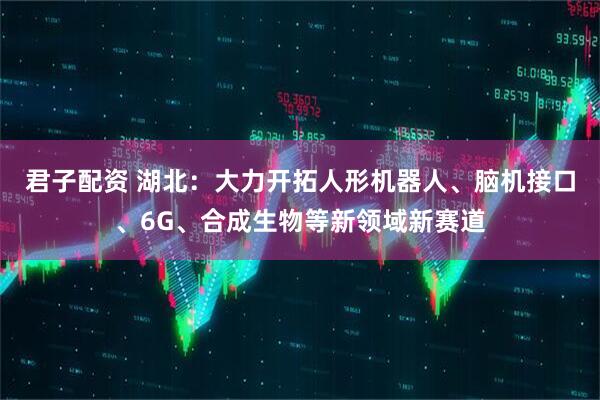 君子配资 湖北：大力开拓人形机器人、脑机接口、6G、合成生物等新领域新赛道