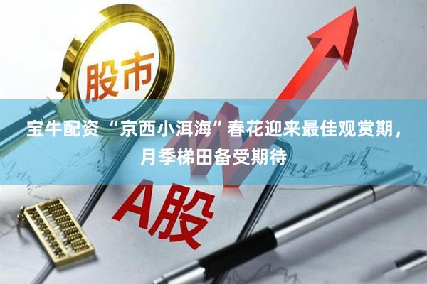 宝牛配资 “京西小洱海”春花迎来最佳观赏期，月季梯田备受期待