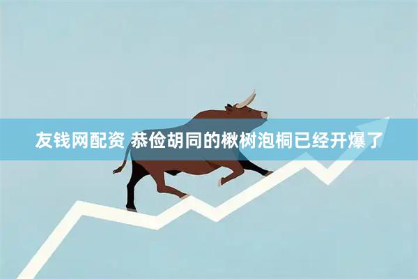 友钱网配资 恭俭胡同的楸树泡桐已经开爆了